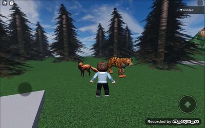 Szene in CoSpaces: Mädchen trifft Tiger und Fuchs im Wald.